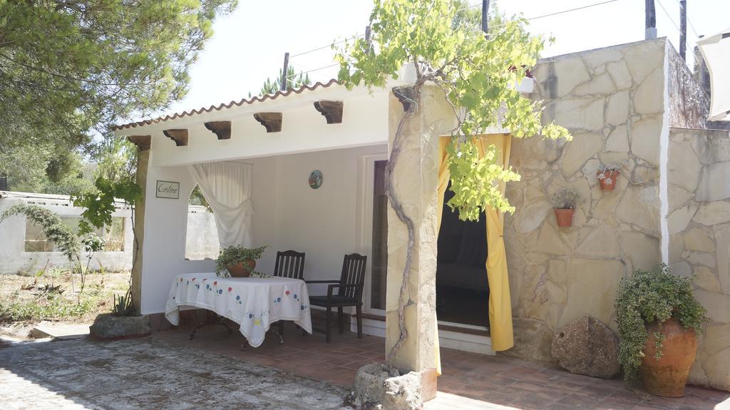 El Campus Villa Alaior Rom bilde